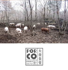 PORCO