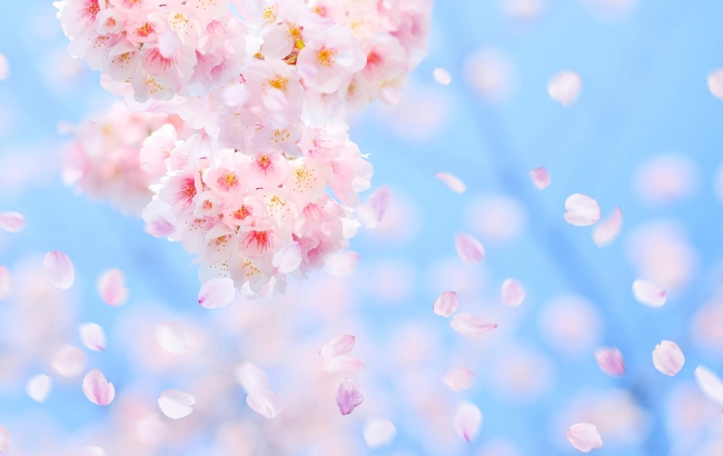 『十六夜』閉店のお知らせ